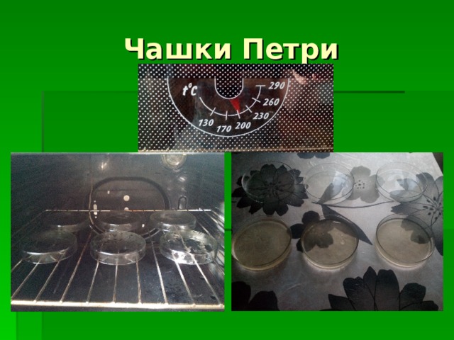 Чашки Петри 
