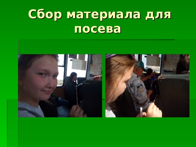 Сбор материала для посева 