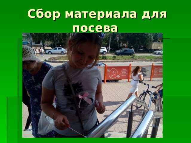 Сбор материала для посева 