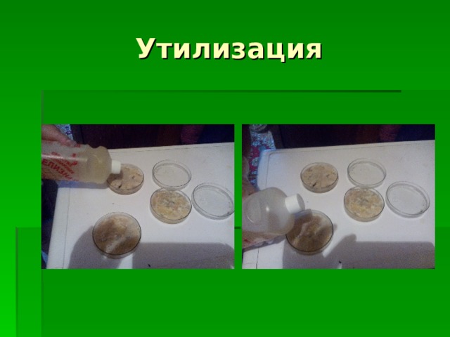 Утилизация 