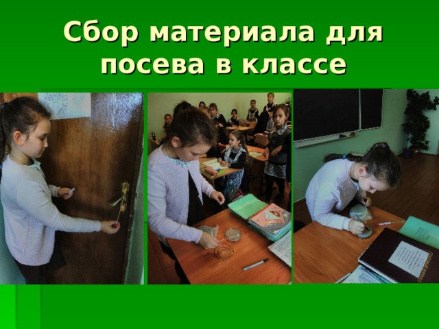 Сбор материала для посева в классе 