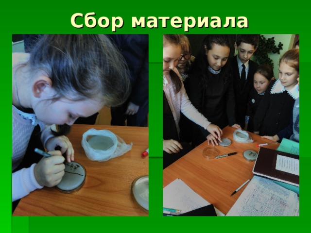Сбор материала 