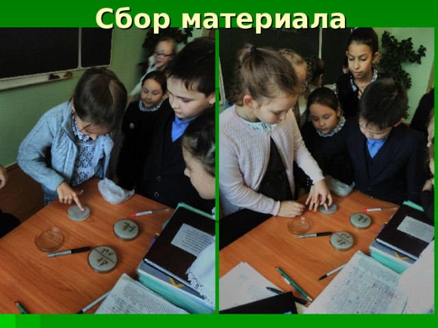 Сбор материала 