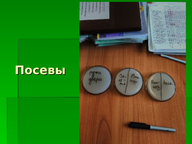 Посевы 