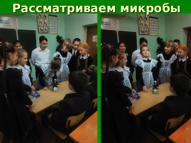 Рассматриваем микробы 