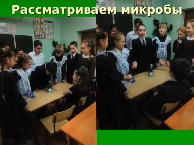 Рассматриваем микробы 