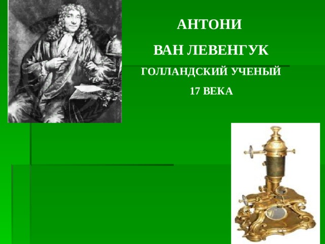 АНТОНИ ВАН ЛЕВЕНГУК ГОЛЛАНДСКИЙ УЧЕНЫЙ 17 ВЕКА 