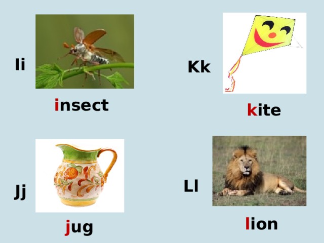 Ii Kk i nsect k ite Ll Jj l ion j ug 