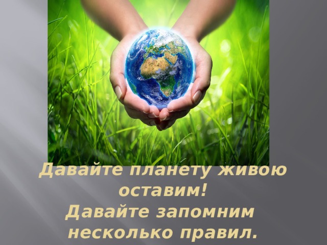 Давайте планету живою оставим!  Давайте запомним  несколько правил. 