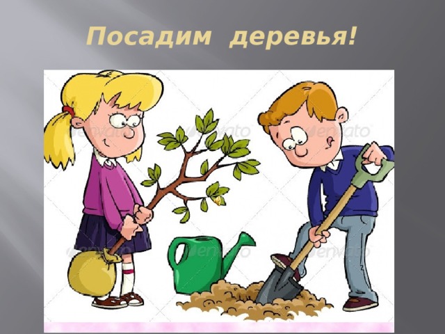 Посадим деревья! 