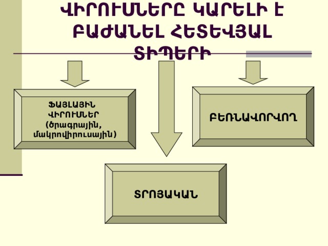 ՎԻՐՈՒՍՆԵՐԸ ԿԱՐԵԼԻ է ԲԱԺԱՆԵԼ ՀԵՏԵՎՅԱԼ ՏԻՊԵՐԻ ԲԵՌՆԱՎՈՐՎՈՂ ՖԱՅԼԱՅԻՆ  ՎԻՐՈՒՍՆԵՐ (ծրագրային, մակրովիրուսային) ՏՐՈՅԱԿԱՆ 