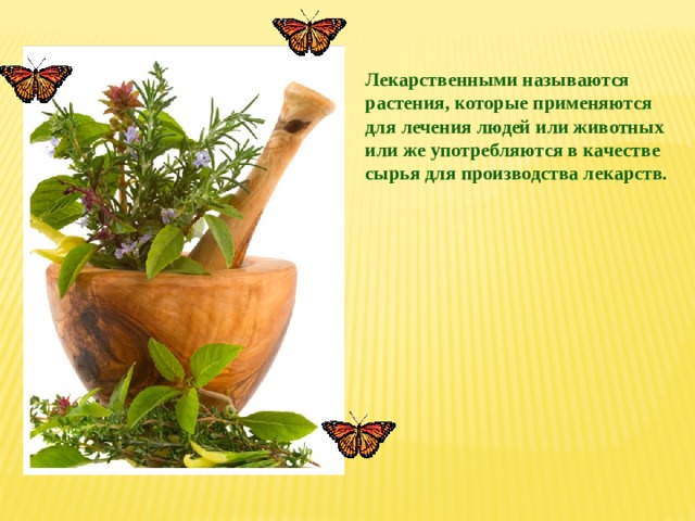 Лекарственными называются растения, которые применяются для лечения людей или животных или же употребляются в качестве сырья для производства лекарств. 