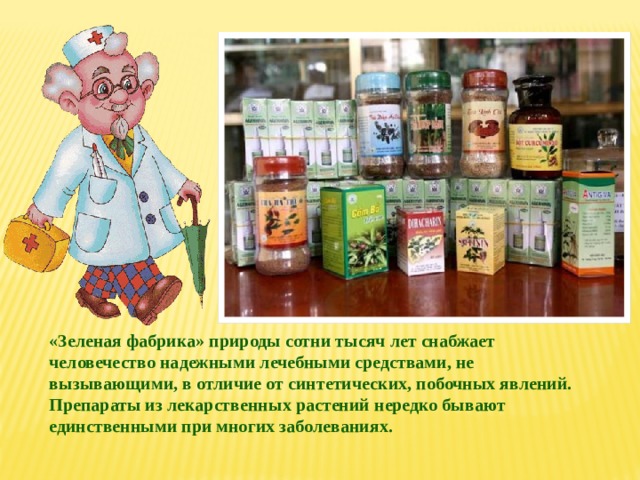 «Зеленая фабрика» природы сотни тысяч лет снабжает человечество надежными лечебными средствами, не вызывающими, в отличие от синтетических, побочных явлений. Препараты из лекарственных растений нередко бывают единственными при многих заболеваниях. 