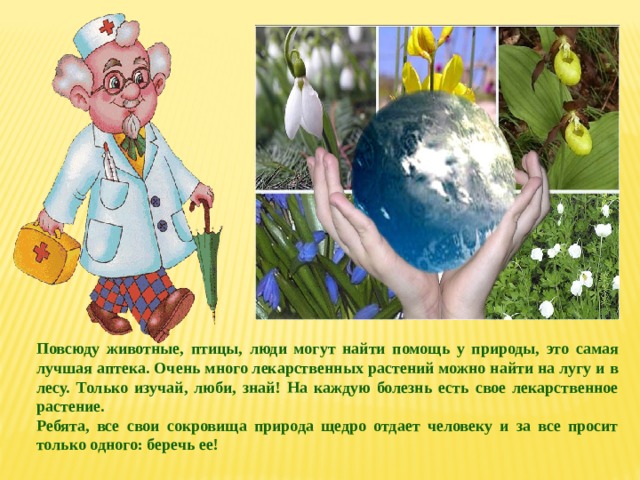 Повсюду животные, птицы, люди могут найти помощь у природы, это самая лучшая аптека. Очень много лекарственных растений можно найти на лугу и в лесу. Только изучай, люби, знай! На каждую болезнь есть свое лекарственное растение. Ребята, все свои сокровища природа щедро отдает человеку и за все просит только одного: беречь ее! 