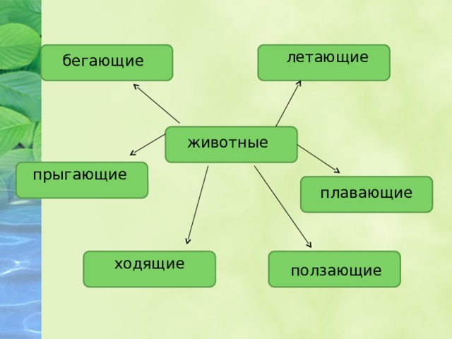летающие бегающие животные прыгающие плавающие ходящие ползающие 