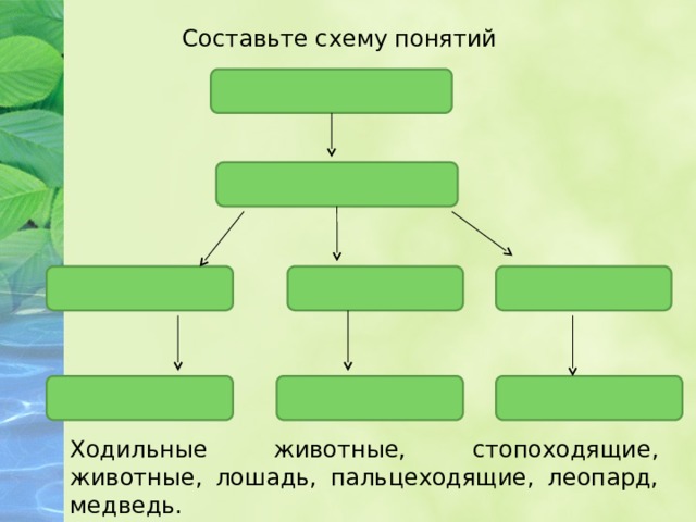 Составьте схему понятий Ходильные животные, стопоходящие, животные, лошадь, пальцеходящие, леопард, медведь. 