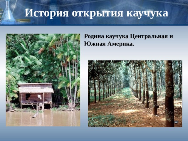 История открытия каучука Родина каучука Центральная и Южная Америка. 