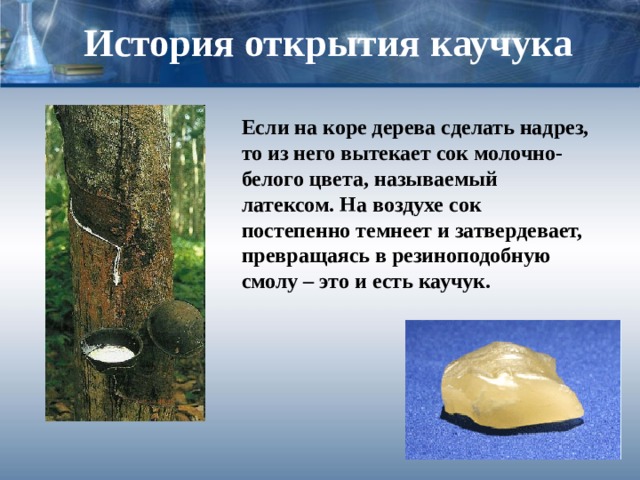 История открытия каучука Если на коре дерева сделать надрез, то из него вытекает сок молочно-белого цвета, называемый латексом. На воздухе сок постепенно темнеет и затвердевает, превращаясь в резиноподобную смолу – это и есть каучук. 