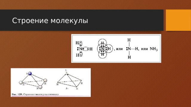 Строение молекулы 