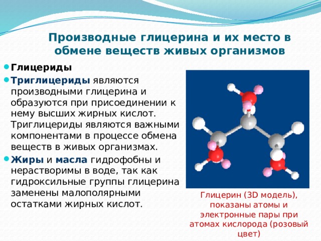 Производные глицерина и их место в обмене веществ живых организмов Глицериды Триглицериды являются производными глицерина и образуются при присоединении к нему высших жирных кислот. Триглицериды являются важными компонентами в процессе обмена веществ в живых организмах. Жиры  и  масла  гидрофобны и нерастворимы в воде, так как гидроксильные группы глицерина заменены малополярными остатками жирных кислот. Глицерин (3D модель), показаны атомы и электронные пары при атомах кислорода (розовый цвет) 