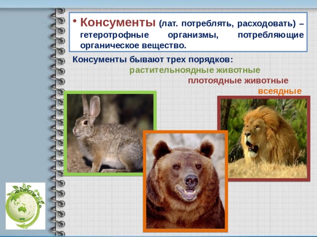 Консументы (лат. потреблять, расходовать) – гетеротрофные организмы, потребляющие органическое вещество. Консументы бывают трех порядков:  растительноядные животные  плотоядные животные  всеядные животные 