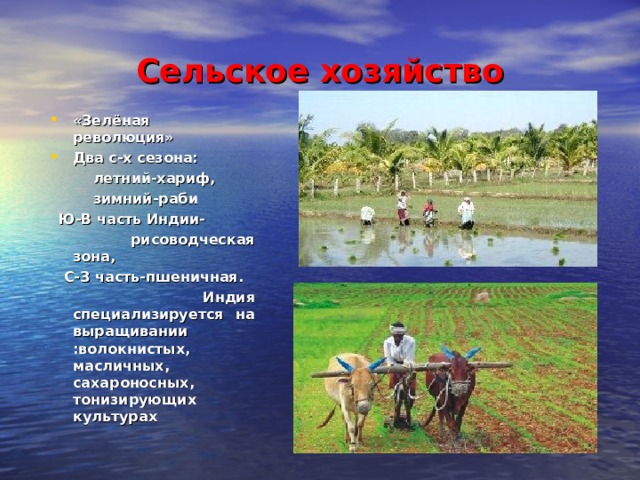 Сельское хозяйство « Зелёная революция» Два с-х сезона:  летний-хариф,  зимний-раби  Ю-В часть Индии-  рисоводческая зона,  С-З часть-пшеничная.  Индия специализируется на выращивании :волокнистых, масличных, сахароносных, тонизирующих культурах 