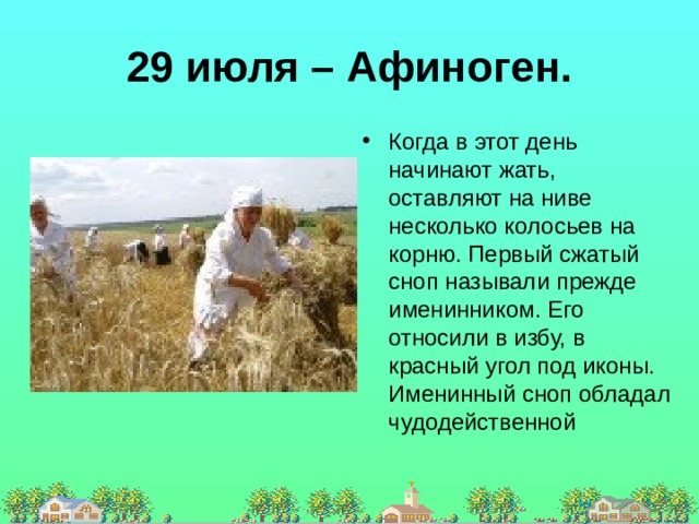 29 июля – Афиноген. Когда в этот день начинают жать, оставляют на ниве несколько колосьев на корню. Первый сжатый сноп называли прежде именинником. Его относили в избу, в красный угол под иконы. Именинный сноп обладал чудодейственной 