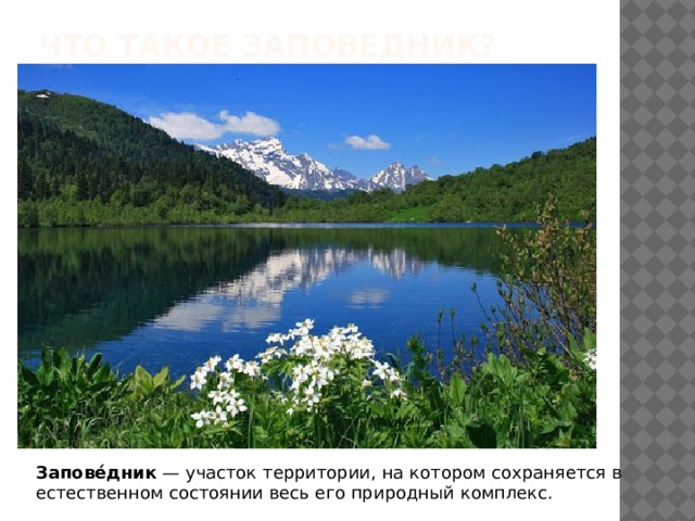 Что такое заповедник?      Запове́дник  — участок территории, на котором сохраняется в естественном состоянии весь его природный комплекс. 