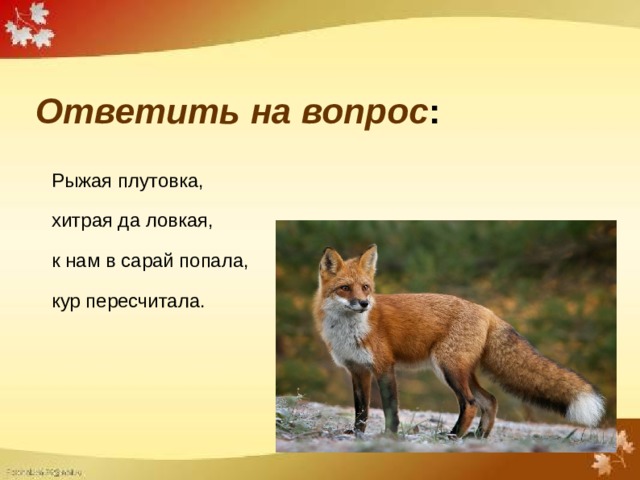 Ответить на вопрос : Рыжая плутовка, хитрая да ловкая, к нам в сарай попала, кур пересчитала.  