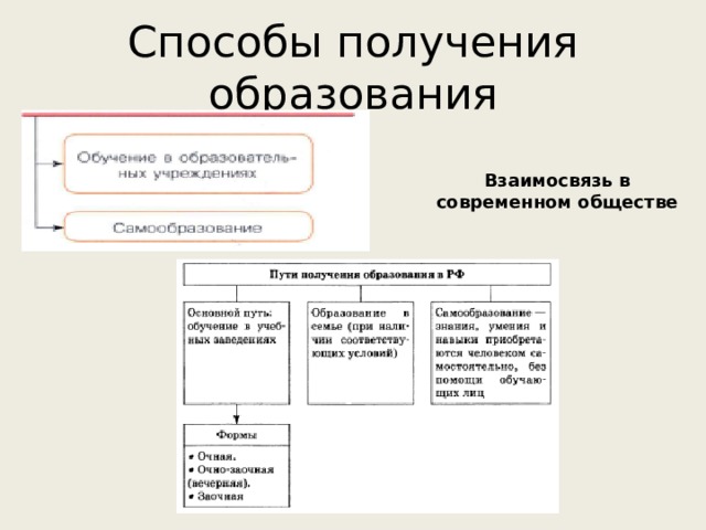 Способы получения образования Взаимосвязь в современном обществе 