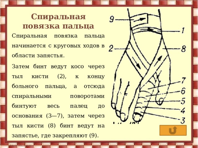 Спиральная повязка пальца Спиральная повязка пальца начинается с круговых ходов в области запястья. Затем бинт ведут косо через тыл кисти (2), к концу больного пальца, а отсюда спиральными поворотами бинтуют весь палец до основания (3—7), затем через тыл кисти (8) бинт ведут на запястье, где закрепляют (9). 