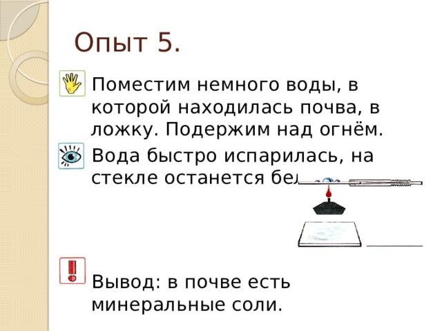 Опыт 5. Поместим немного воды, в которой находилась почва, в ложку. Подержим над огнём. Вода быстро испарилась, на стекле останется белый налёт. Вывод: в почве есть минеральные соли. 