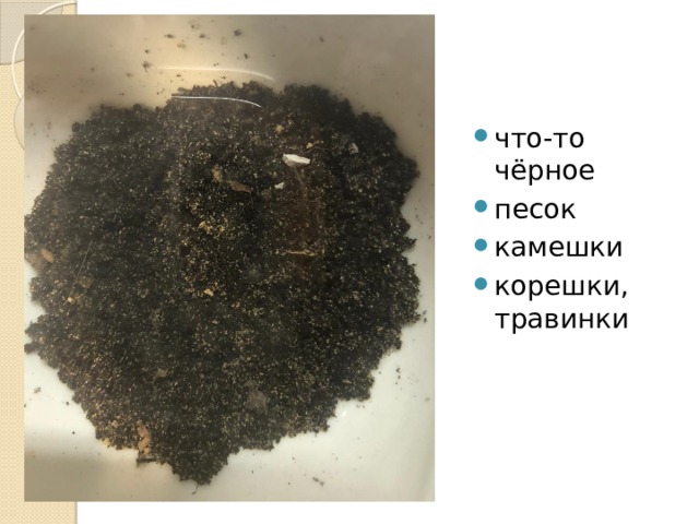 что-то чёрное песок камешки корешки, травинки 