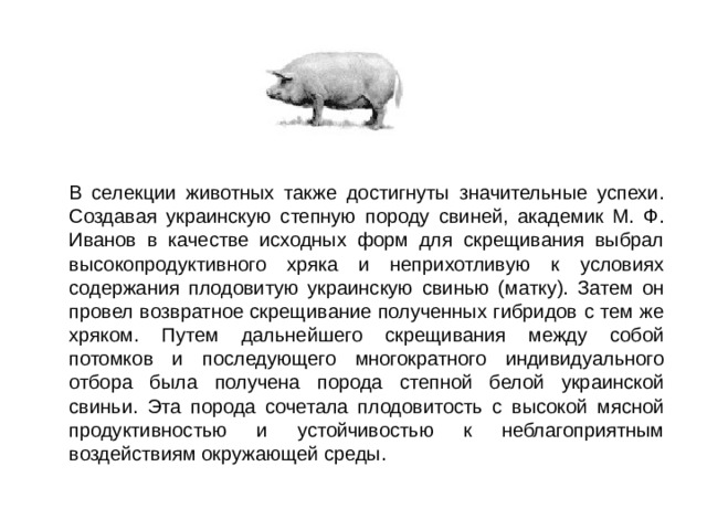  В селекции животных также достигнуты значительные успехи. Создавая украинскую степную породу свиней, академик М. Ф. Иванов в качестве исходных форм для скрещивания выбрал высокопродуктивного хряка и неприхотливую к условиях содержания плодовитую украинскую свинью (матку). Затем он провел возвратное скрещивание полученных гибридов с тем же хряком. Путем дальнейшего скрещивания между собой потомков и последующего многократного индивидуального отбора была получена порода степной белой украинской свиньи. Эта порода сочетала плодовитость с высокой мясной продуктивностью и устойчивостью к неблагоприятным воздействиям окружающей среды. 