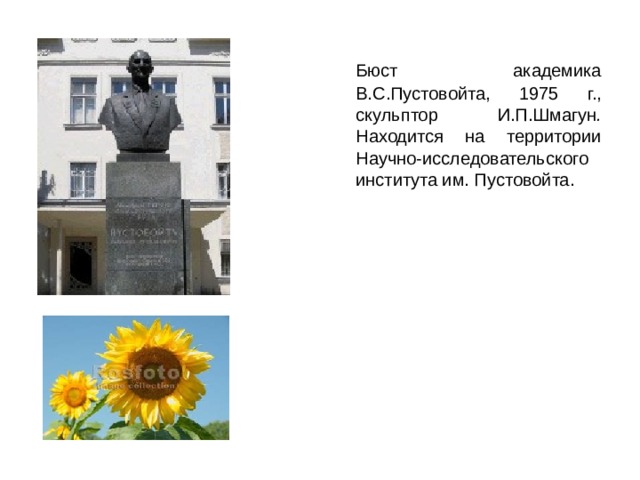  Бюст академика В.С.Пустовойта, 1975 г., скульптор И.П.Шмагун .  Находится на территории Научно-исследовательского института им. Пустовойта. 