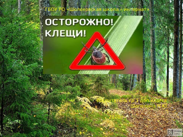 ГБОУ РО «Шолоховская школа – интернат» Воспитатель гр.1 доп.класса Шепелина Н.Ю.  2020 г. . 