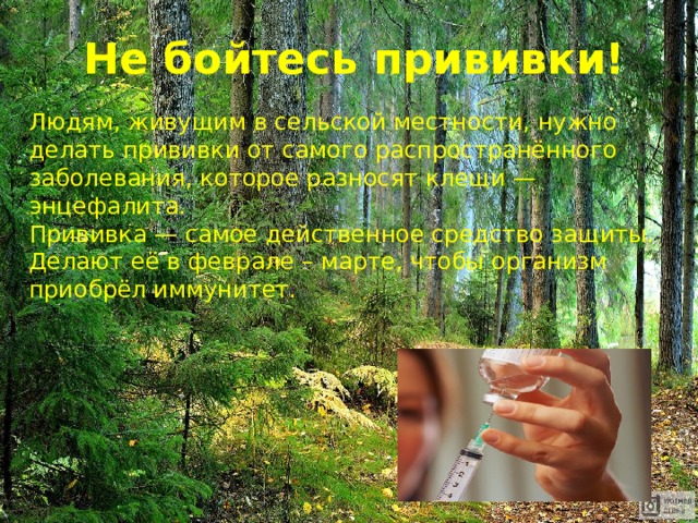 Не бойтесь прививки! Людям, живущим в сельской местности, нужно делать прививки от самого распространённого заболевания, которое разносят клещи — энцефалита. Прививка — самое действенное средство защиты. Делают её в феврале – марте, чтобы организм приобрёл иммунитет. 