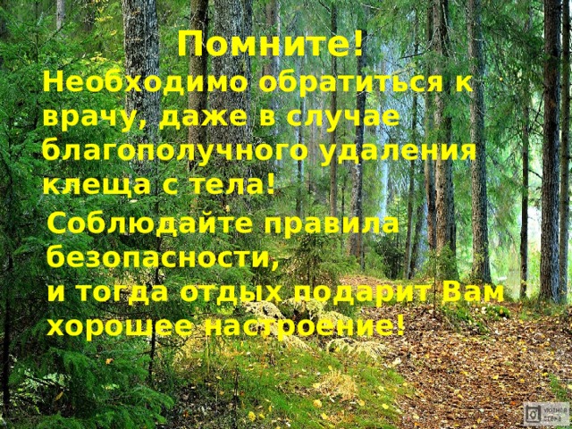 Помните! Необходимо обратиться к врачу, даже в случае благополучного удаления клеща с тела! Соблюдайте правила безопасности,   и тогда отдых подарит Вам хорошее настроение! 