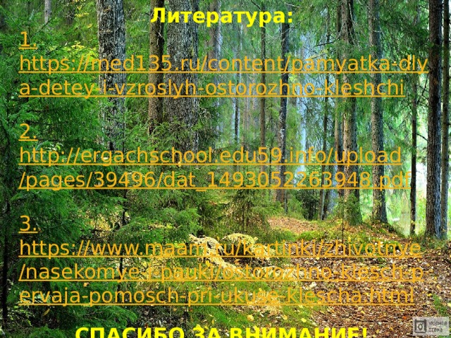 Литература: 1. https://med135.ru/content/pamyatka-dlya-detey-i-vzroslyh-ostorozhno-kleshchi  2. http://ergachschool.edu59.info/upload/pages/39496/dat_1493052263948.pdf 3. https://www.maam.ru/kartinki/zhivotnye/nasekomye-i-pauki/ostorozhno-klesch-pervaja-pomosch-pri-ukuse-klescha.html  СПАСИБО ЗА ВНИМАНИЕ! 