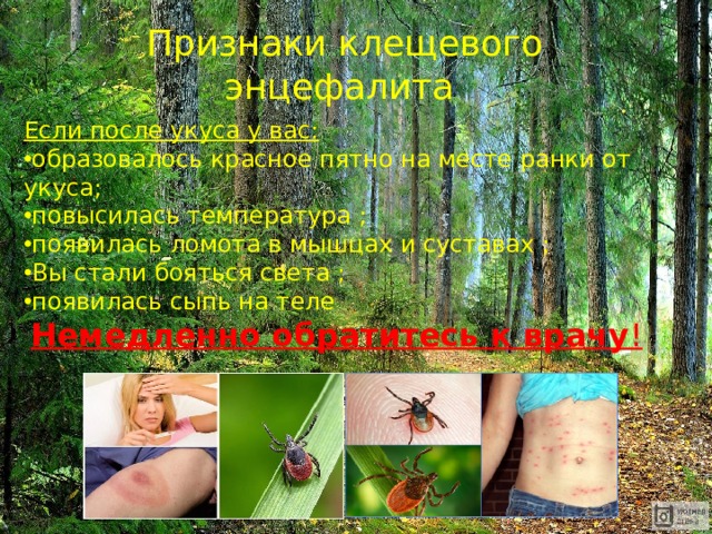 Признаки клещевого энцефалита   Если после укуса у вас: образовалось красное пятно на месте ранки от укуса;  повысилась температура ; появилась ломота в мышцах и суставах ;  Вы стали бояться света ; появилась сыпь на теле Немедленно обратитесь к врачу ! 