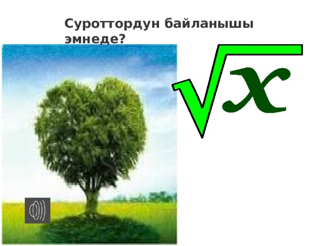 Суроттордун байланышы эмнеде? 