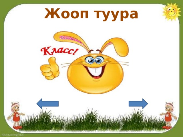 Жооп туура 