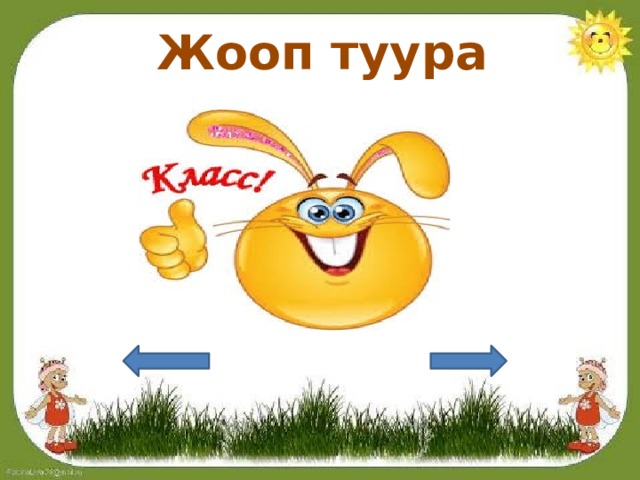 Жооп туура 
