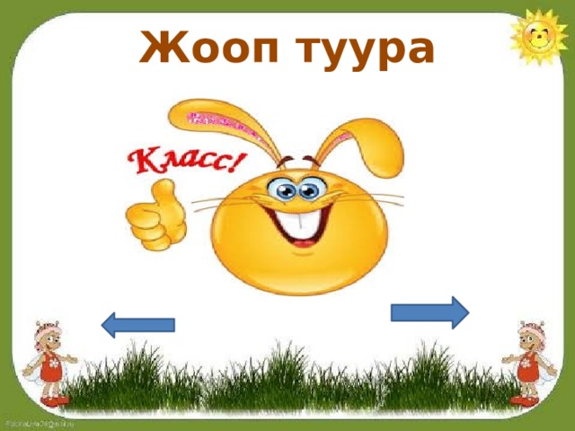 Жооп туура 