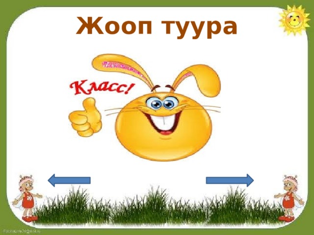 Жооп туура 