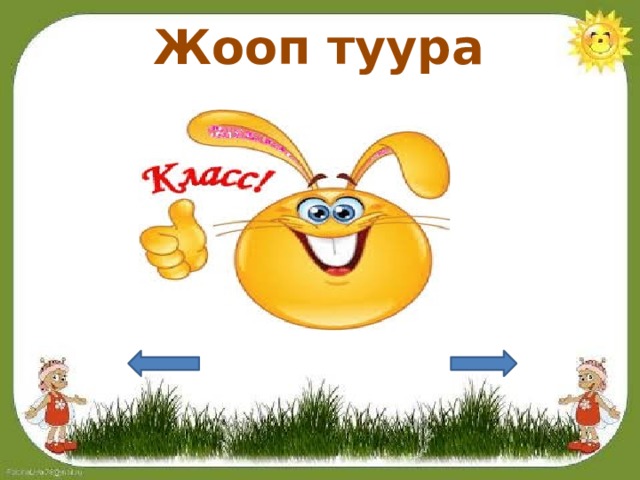 Жооп туура 