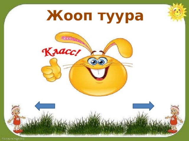 Жооп туура 