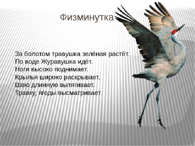 Физминутка 