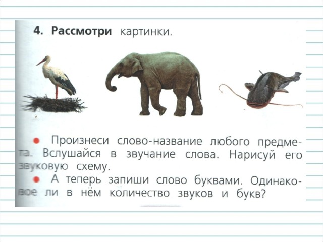 Тысячи разных звуков окружают человека. А из каких звуков «складываются» слова? Из звуков человеческой речи! Эти звуки возникают тогда, когда работают органы нашей речи: язык, губы, голосовые связки. 