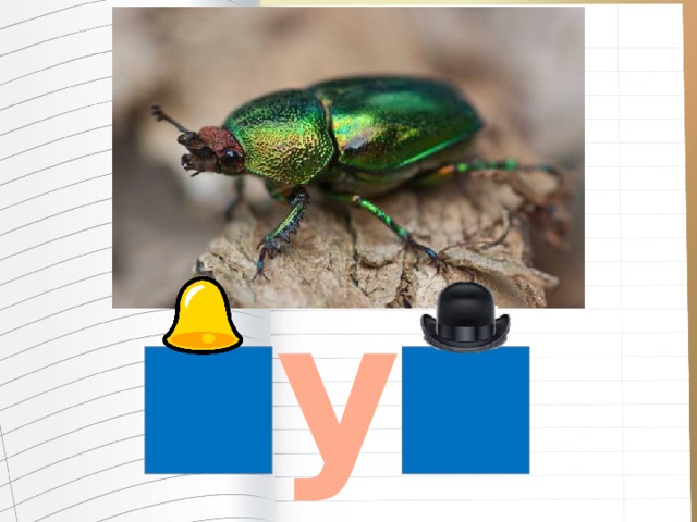 у 